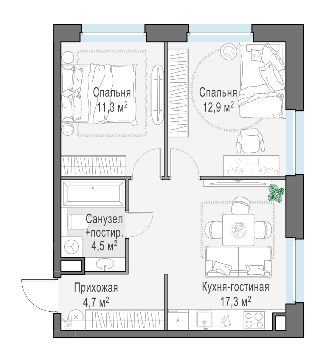 50.5 м²