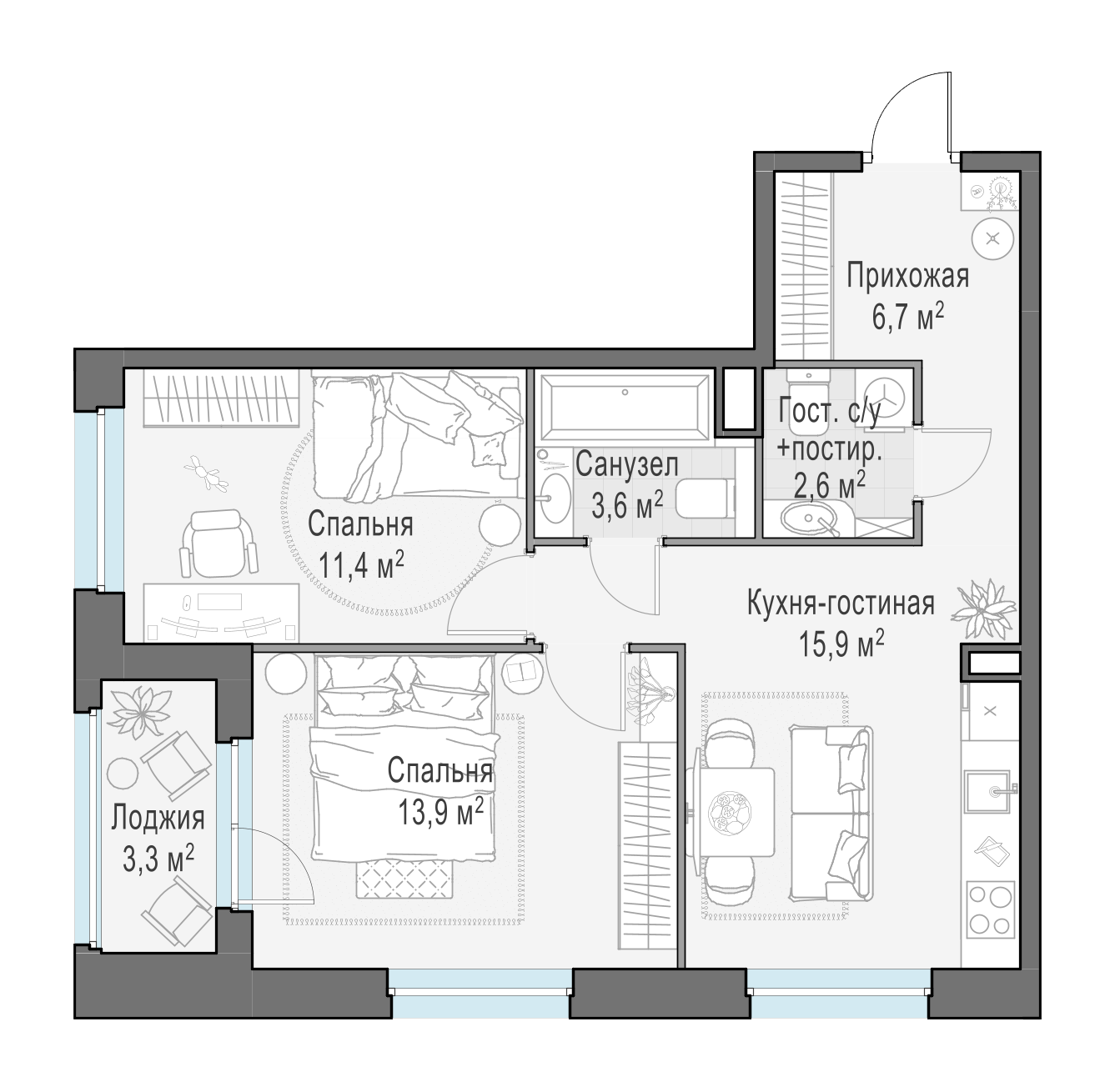 55.6 м²